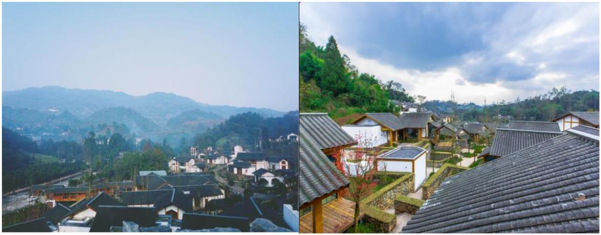 雅安市蒙頂山生態(tài)康養(yǎng)產業(yè)園發(fā)展有限公司
